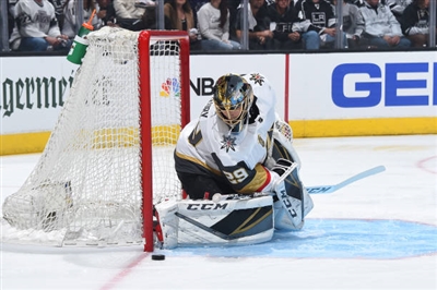 Marc-Andre Fleury Poster 3538634