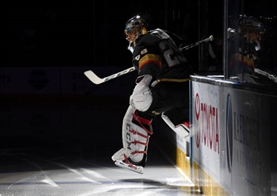 Marc-Andre Fleury Poster 3538639