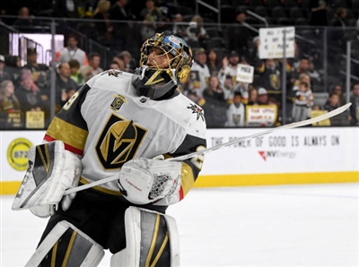 Marc-Andre Fleury Poster 3538642