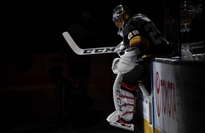 Marc-Andre Fleury Poster 3538645