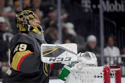 Marc-Andre Fleury Poster 3538648
