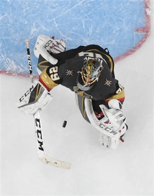 Marc-Andre Fleury Poster 3538650