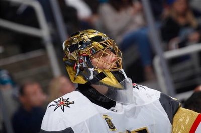 Marc-Andre Fleury Poster 3538652