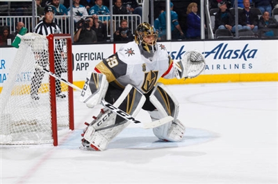 Marc-Andre Fleury Poster 3538656