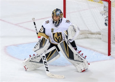 Marc-Andre Fleury Poster 3538657