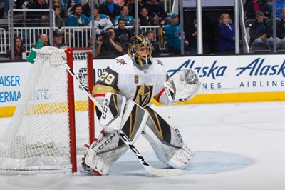 Marc-Andre Fleury Poster 3538659