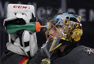 Marc-Andre Fleury Poster 3538661