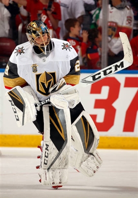 Marc-Andre Fleury Poster 3538662