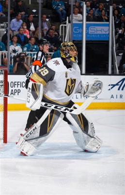 Marc-Andre Fleury Poster 3538673