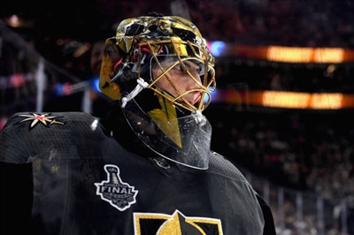 Marc-Andre Fleury Poster 3538674