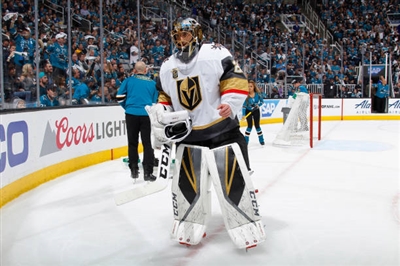 Marc-Andre Fleury Poster 3538679