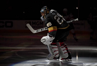 Marc-Andre Fleury Poster 3538681