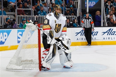 Marc-Andre Fleury Poster 3538687