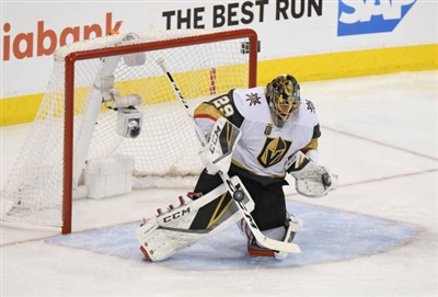 Marc-Andre Fleury Poster 3538690