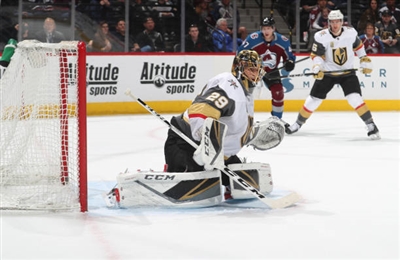 Marc-Andre Fleury Poster 3538691
