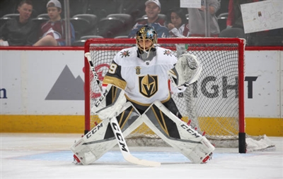 Marc-Andre Fleury Poster 3538705