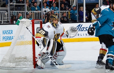 Marc-Andre Fleury Poster 3538708