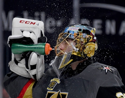 Marc-Andre Fleury Poster 3538713