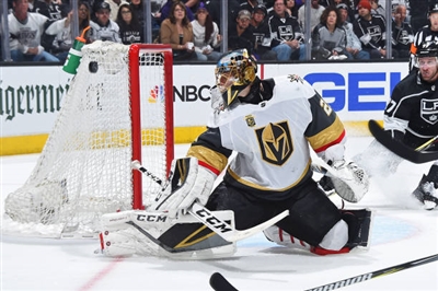 Marc-Andre Fleury Poster 3538721