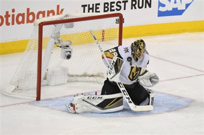 Marc-Andre Fleury Poster 3538747