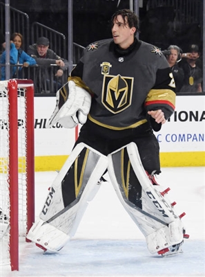 Marc-Andre Fleury Poster 3538748