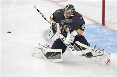 Marc-Andre Fleury Poster 3538756