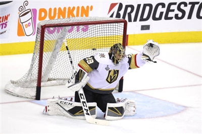 Marc-Andre Fleury Poster 3538759