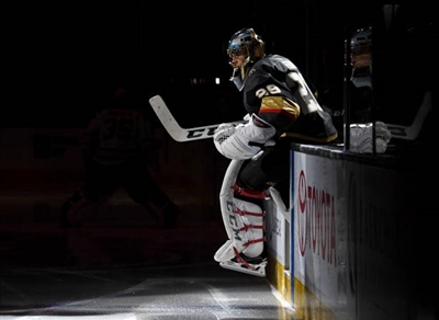 Marc-Andre Fleury Poster 3538763