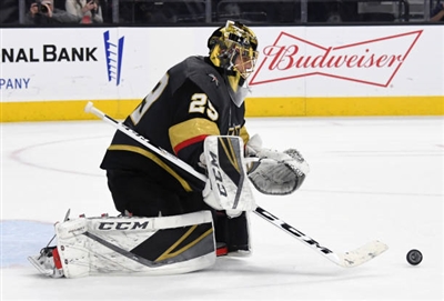 Marc-Andre Fleury Poster 3538766