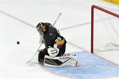 Marc-Andre Fleury Poster 3538768