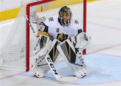 Marc-Andre Fleury Poster 3538769