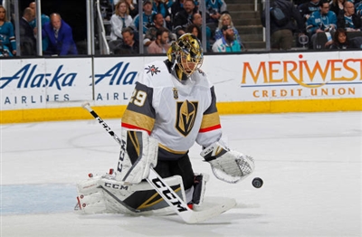 Marc-Andre Fleury Poster 3538777