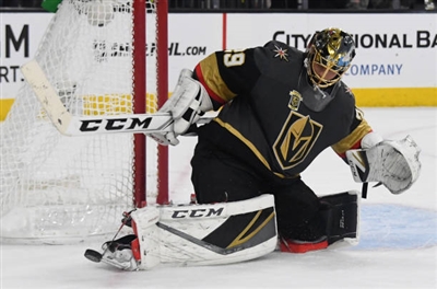 Marc-Andre Fleury Poster 3538783