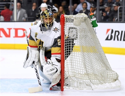 Marc-Andre Fleury Poster 3538784