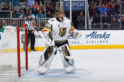 Marc-Andre Fleury Poster 3538790