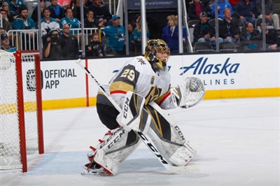 Marc-Andre Fleury Poster 3538793