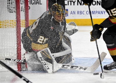 Marc-Andre Fleury Poster 3538796