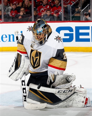 Marc-Andre Fleury Poster 3538800