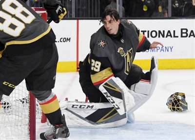 Marc-Andre Fleury Poster 3538807