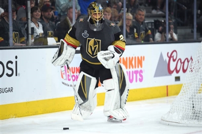 Marc-Andre Fleury Poster 3538809