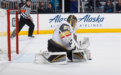 Marc-Andre Fleury Poster 3538813