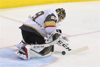 Marc-Andre Fleury Poster 3538819