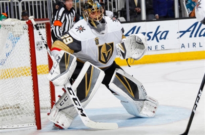 Marc-Andre Fleury Poster 3538827