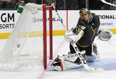 Marc-Andre Fleury Poster 3538829