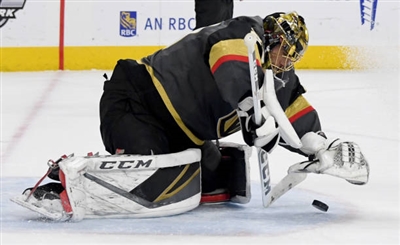 Marc-Andre Fleury Poster 3538831