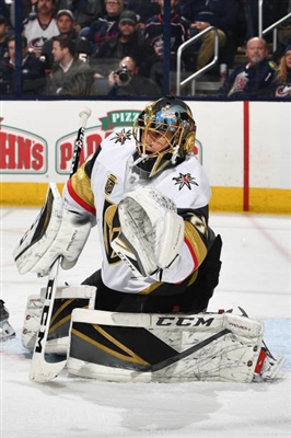 Marc-Andre Fleury Poster 3538843