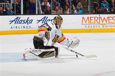 Marc-Andre Fleury Poster 3538851