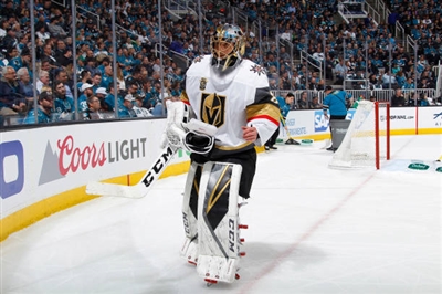 Marc-Andre Fleury Poster 3538853
