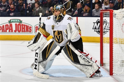 Marc-Andre Fleury Poster 3538859