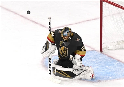 Marc-Andre Fleury Poster 3538864